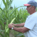 2024’s Corn Crisis: Farmers Grapple with Devastating Yields and Rising Costs