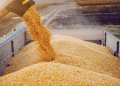 Breaking New Ground: Russian Wheat Sets Sail for Nigeria