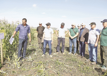 Optimizing Corn Cultivation: Insights from a Seminar in Birskiy District