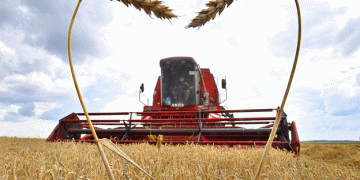 Weathering the Storm: How Farmers in Orenburg Adapted to a Challenging 2024 Growing Season