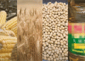 Wheat to Soy: The Latest Shifts and Market Forces in the Chicago Grain Market