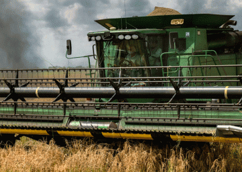 Texas Rice Farmers Battle for Survival Amid Drought and Water Scarcity
