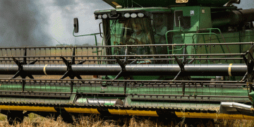 Texas Rice Farmers Battle for Survival Amid Drought and Water Scarcity