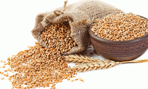 Russia Rises to Third-Largest Wheat Supplier to China: A New Era in Agricultural Trade