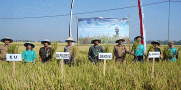 Collaborating for a Greener Future: Low Carbon Rice Project Celebrates a Sustainable Harvest in Madiun