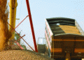 BRICS Grain Exchange: A Boost for Russian Wheat Exports to Brazil?