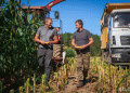 Belarus Achieves Record Grain Harvest, Aiming for Continued Growth in Future Crops