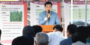 Gyeongju’s Feed Corn Variety Evaluation and Mechanized Harvesting Demonstration: A Step Forward in Crop Efficiency