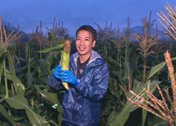 Tradition Meets Innovation: The Resilient Corn Farmers of Shinano Town