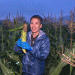 Tradition Meets Innovation: The Resilient Corn Farmers of Shinano Town