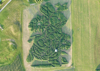 Treworgy Family Orchards Wins USA Today’s Best Corn Maze Contest for the Third Year Running
