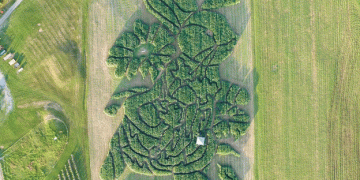 Treworgy Family Orchards Wins USA Today’s Best Corn Maze Contest for the Third Year Running