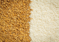 Azerbaijan Expands Agricultural Imports: Russian Wheat and Rice Seeds in Focus