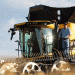 Kellanova and Industry Leaders Champion Regenerative Wheat Agriculture for a Sustainable Future