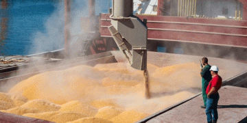 Global Wheat Prices Expected to Rise in 2025: Key Insights for Farmers and Market Stakeholders