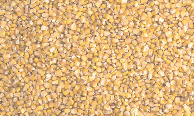 Slow Start for Canadian Corn Imports from the U.S. as Barley Supplies Surge