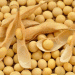 Global Grain Market Shifts: Record Soybean Imports, Intensified Corn and Wheat Bidding Wars