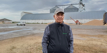 Navigating Harvest Challenges: Wheat Yield Prospects in Kazakhstan’s Aastrakhan District