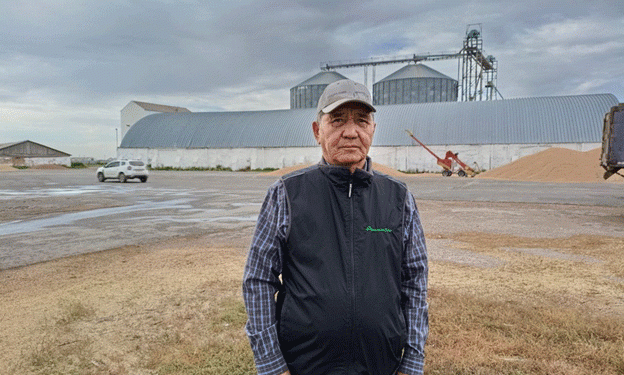 Navigating Harvest Challenges: Wheat Yield Prospects in Kazakhstan’s Aastrakhan District