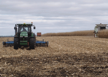 Harvest Success: Kursk Region’s Remarkable Grain Yields and Crop Updates for 2024