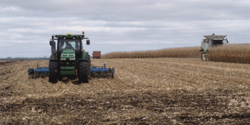 Harvest Success: Kursk Region’s Remarkable Grain Yields and Crop Updates for 2024