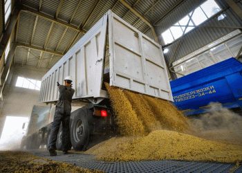 Chuvashia Exports 884 Tons of Wheat to Azerbaijan: A Boost for Russia’s Agricultural Trade