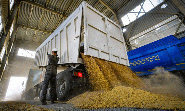 Chuvashia Exports 884 Tons of Wheat to Azerbaijan: A Boost for Russia’s Agricultural Trade