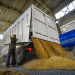 Chuvashia Exports 884 Tons of Wheat to Azerbaijan: A Boost for Russia’s Agricultural Trade