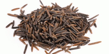 Restoring the Roots: Oneida Nation Revives Wild Rice Harvesting Traditions