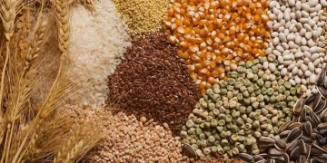 Insights from Simplot Grower Solutions’ Copeland Field Day