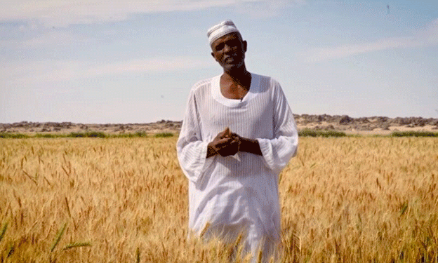 African Development Bank Boosts Sudan’s Wheat Production with $100 Million Grant