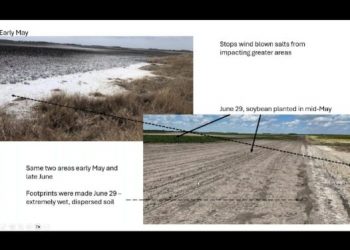 Insights from the Sustainable Agronomy Conference 2024