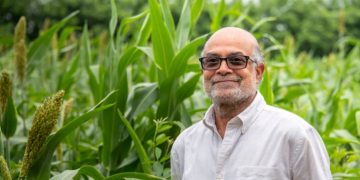 Recognizing Excellence in Agricultural Science: Professor Prabhu Pingali Elected as Foreign Fellow of INSA