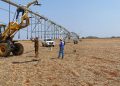 Progressing Agricultural Innovation in Goiás: A New Project Completion