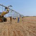 Progressing Agricultural Innovation in Goiás: A New Project Completion