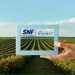 Enhancing Agricultural Sustainability with Flobond Polymers from SNF Water Science