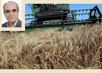 Promoting Sustainable Agriculture in Tunisia: The Tataouine Initiative