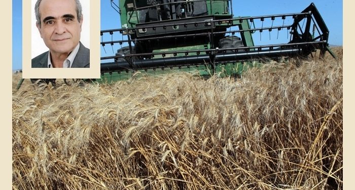 Promoting Sustainable Agriculture in Tunisia: The Tataouine Initiative