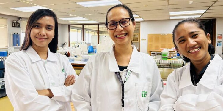 Streamlining Crop Breeding: Innovations in the Philippines’ Agricultural Laboratories