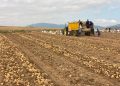 Boosting Potato Yields for Tanzanian Smallholder Farmers: A Mid-Harvest Update