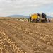 Boosting Potato Yields for Tanzanian Smallholder Farmers: A Mid-Harvest Update