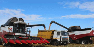 High-Yield Corn Harvest in Komarichi District Boosts Grain Reserves Despite Weather Challenges
