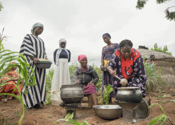 Empowering Women Farmers: The Rise of Fonio Cultivation in Ghana