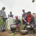 Empowering Women Farmers: The Rise of Fonio Cultivation in Ghana