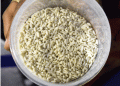 Ensuring Safety and Nutrition: The Case for Fortified Rice in India
