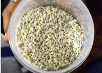 Ensuring Safety and Nutrition: The Case for Fortified Rice in India