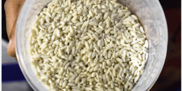 Ensuring Safety and Nutrition: The Case for Fortified Rice in India