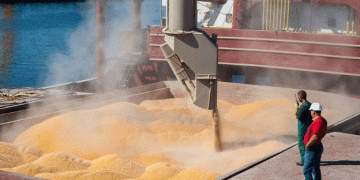 Russian Grain Tariffs Increase: What This Means for Farmers and Exporters