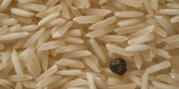 Scientists Develop Rice Variety to Lower Diabetes Risk: A Breakthrough in Agricultural Health