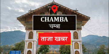 The Drought Dilemma: How Unseasonable Rainfall is Threatening Pea Production in Churah